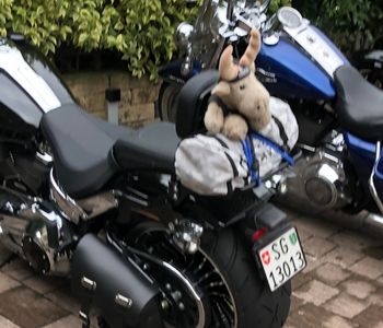 Motorradfahren am Gardasee für Einsteiger